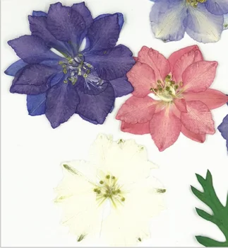 1 Maišelis Džiovintų Gėlių UV Dervos Pildymo Papuošalai Dekoratyvinių Natūralių Presuotų Gėlių Meno Gėlių Dekoro Epoksidinės Dervos Sluoksnį