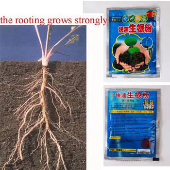 10VNT Gėlių, Augalų Stipri Šaknų Milteliai Auga Šaknys Sparčiai auganti šaknis daigų dygimą pagalba, Sodininkystės Prekių jėga