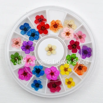12 spalvų džiovintų gėlių žiedų nagų dailės papuošalai natūralių nagų sausų gėlių rato