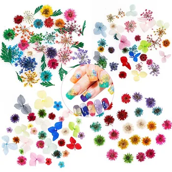 1Box Džiovintų Gėlių UV Dervos Apdaila, Natūralus Gėlių, Lapų, Sumaišyti Natūralių Gėlių Epoksidinės Pelėsių Puošyba, Manikiūro Reikmenys