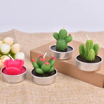 1PC Šalies Ornamentu Kūrybos 3D Kaktusas Žvakės Imituojamas Augalai Nerūkomojo Aromatizuoti Žvakės Namų Puošybai Valentino Dienos Dovanų
