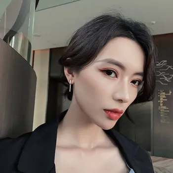 2020 naujas klasikinis cinko lydinys ilgai baras Auskarai Pietų korėjos moterų maži auskarai seksualus moterų papuošalai ir visų rūšių auskarai