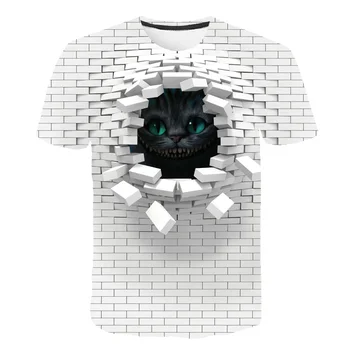 2021 Vyrų 3D Katė Sienos Spausdinti Atsitiktinis Harajuku Moterys T-Shirt Vasaros Trumpas Rankovės O-kaklo Kokybės Trišakis Berniukų Drabužius, Viršuje Moterų Marškinėliai