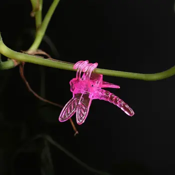 30Pcs Dragonfly Orchidėja Įrašus Orchidėjų Augintojas Paramos Mielas Sodo Augalų Žiedų Vynuogių Paramos Įrašus