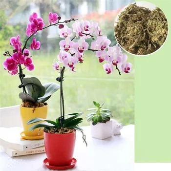 6L Sphagnum Samanos Sodo Sphagnum Samanų, Drėkina Mitybos Organinių Trąšų Orchidėja Phalaenopsis Musgo Kiminų