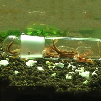 Akvariumas Širdys Spąstus Žuvų Bakas Kenkėjų Sugauti Spąstų Dėlės Gaudytojas Už Planarian Flatworm