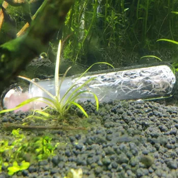 Akvariumas Širdys Spąstus Žuvų Bakas Kenkėjų Sugauti Spąstų Dėlės Gaudytojas Už Planarian Flatworm