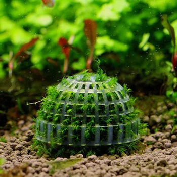 Akvariumo Žuvų Bakas Žiniasklaidos Moss Ball Gyvų Augalų Filtro Filtravimo Juokinga Dekoro Vandens Naminių Reikmenys, Papuošalai Pet Products
