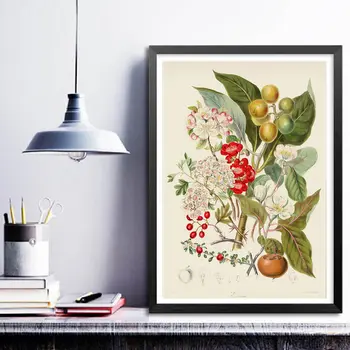 Botanikos Augalų Sienos Meno Tapybos Vintage Stiliaus Gėlių, Daržovių, Vaisių Grafikas Derliaus Plakatas Kraftpopieris