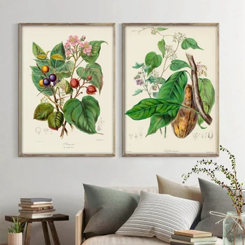 Botanikos Augalų Sienos Meno Tapybos Vintage Stiliaus Gėlių, Daržovių, Vaisių Grafikas Derliaus Plakatas Kraftpopieris