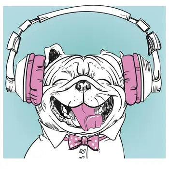 DABOXIBO Šuo Klausytis dainų Aiškių Ženklų 