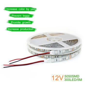 DC 12V LED Augti Šviesos Pilno Spektro LED Juostelės Žibintai, 1m 2m 3m 4m 5m SMD5050 LED Fito Lempos, Skirtos Šiltnamio efektą sukeliančių Augalų Hydroponic