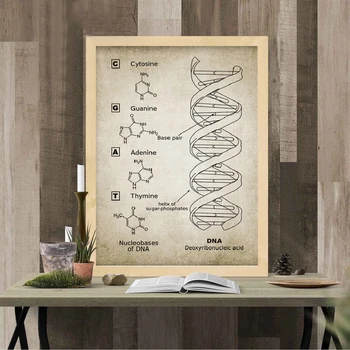DNR ir RNR Genetinis Kodas Sienos Meno Tapybos Drobės Spausdina Genetika, Biochemija Studentų Dovana Senovinių Plakatų Mokslo Sienų Dekoras