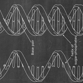 DNR Patentų Sienos Meno Genetika Plakatų Spausdinimo Biologijos Sienų Dekoras Derliaus Planą Spaudinių Medicinos Studentų Dovana Mokslo Papuošalai
