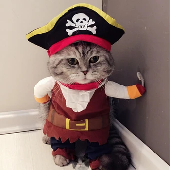 Funny Cat Drabužius Piratų Kostiumą Drabužių Katės Kostiumas Drabužių Corsair Helovinas Drabužius Padažu Katė Šalies Kostiumas Kostiumas