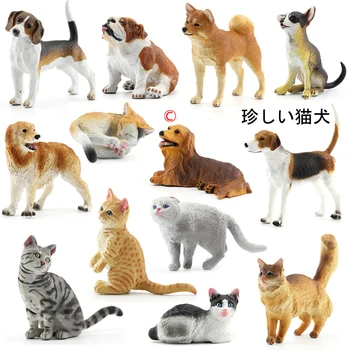 Japonijos originali skerdienos 28 rinkiniai mielas naminių gyvūnėlių šuniukai Ragdoll Bobtails Shorthair Ragdoll katės Akita Buldogas Foxhound darbalaukio paveikslėlis