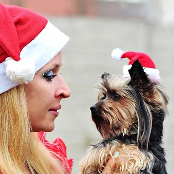 Kalėdų pet santa hat mažas šuniukas katė, šuo kalėdų atostogų kostiumų papuošalai