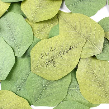 Korėjos Raštinės Reikmenys Mielas Žalios Lapinės Formos Memo Pad Sticky Notes 