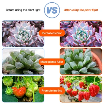 LED Full spectrum Augalų Auga Šviesos USB Fito Augti Juostelės 2835 SMD Daigų Fito Lempa LED Šiltnamio efektą sukeliančių Gėlių Sėklų Auginimo Lampada
