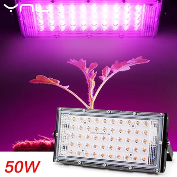 LED Grow Light Fito Lempos AC 220V 50W LED Full spectrum Prožektorius Patalpų Lauko Šiltnamio efektą sukeliančių Augalų Hydroponic Augalų Akiratyje