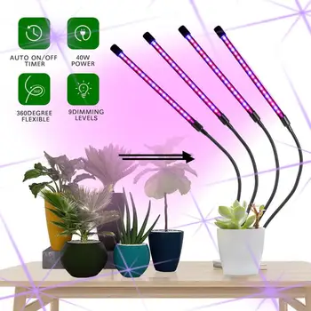 LED Grow Light USB Fito Lempos Visą Spektrą Fito Lempa Su Kontrolės Augalai, Sodinukai, Gėlių, Patalpų Šiltnamio efektą sukeliančių Auginimo Lempos