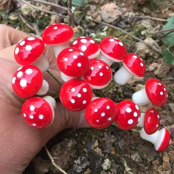Mini Raudona, Grybų, Triušių, Ančių Vėžlio Sodo Ornamentu Miniatiūrinių Augalų Vazonuose Pasakų Mikro Miniatiūros Putų Pasakų Sodo