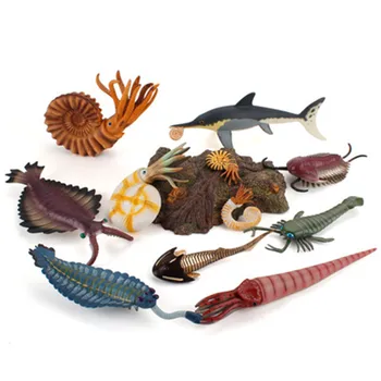 Modeliavimo Senovės Iškastinio Jūrų Gyvenimą, Myli Žuvų, Krevečių Dragon Žaislas Turtle Sumos Švietimo Žaislas Vaikams, Žaislas Paveikslas Dovanų