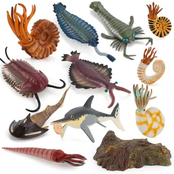 Modeliavimo Senovės Iškastinio Jūrų Gyvenimą, Myli Žuvų, Krevečių Dragon Žaislas Turtle Sumos Švietimo Žaislas Vaikams, Žaislas Paveikslas Dovanų
