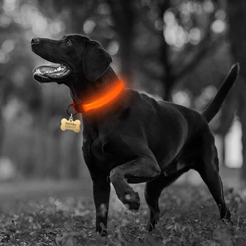 Nailono LED Naminių šunų Antkaklis,Naktį Saugos Mirksi šviečia Tamsoje Šuns Pavadėlio,Šunys Šviesos Liuminescencinės Antkakliai Naminių Reikmenys