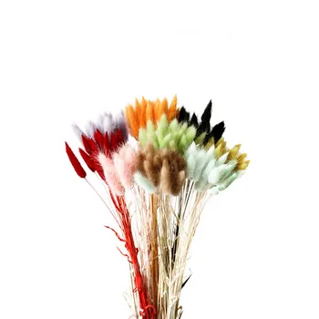 Naujas 20Pcs Triušio Uodega Žolės Natūralios Džiovintos Gėlės, Dirbtinės Apdailos Gėlių kompozicijų Lagurus Ovatus Nekilnojamojo Žolės Krūva Rekvizitai