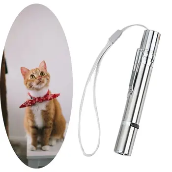 Nerūdijančio Plieno Funny Cat Stick Su Virve USB Įkraunamas LED Raudonos Šviesos Žymeklis Parkeris Katė Mokymo Priemonės