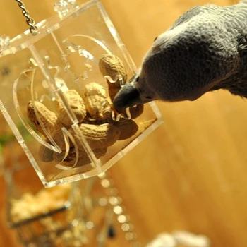 Papūga Paukštis Narve Finansuojančiojo Kabinti Pašariniai Žaislai Pet Gydyti Medžioti Macaw Kakadu Budgie