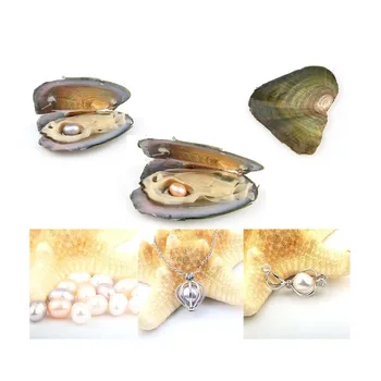 Perlas Austrės su Ryžiais 7-8 mm Meilės Noras Realus Gėlavandenių Perlų ir Nacklace Rinkinys (Grandinės 55cm)