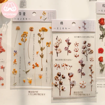 Ponas Popieriaus 12 Dizaino, Natūralios Daisy Dobilų Japonijos Žodžiai Lipdukai Skaidrus PET, Medžiagos, Gėlės, Lapai, Augalai Deco Lipdukai