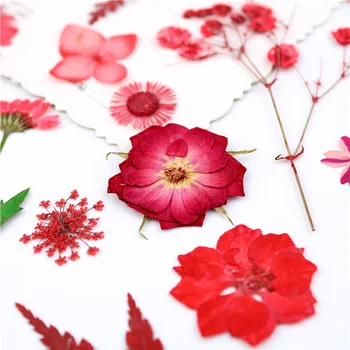 Raudona Džiovinti Gamtos Nekilnojamojo Gėlių Asortimentas Paspaudus Klevo Lapų Herbariumo Lapas Gėlių Dekoracija Dervos Amatų Dervos Meno Reikmenys