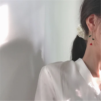Rose stereo eardrop, korėjiečių ilgai kutas auskarai, moterų mados kūrybos papuošalų 2020 naujas