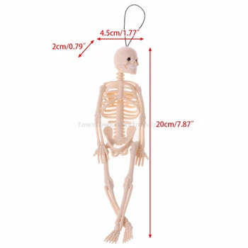 Skeletas Žmogaus Kaukolės Modelis, Viso Kūno, Mini Pav Žaislas Telefonas Pakaba Helovinas N15 19 Dropship