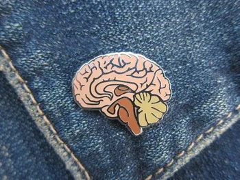 Smegenų Minkštųjų Emalio Atlapas Pin Smegenis, Insultas, Medicinos ir Anatomijos, Neurologijos, Segtukai, Gydytojų ir Slaugytojų