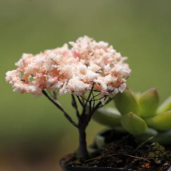 Sodo Namų Puošybai Micro Kraštovaizdžio Bonsai Augalų Mini Medis Terariumai Figūrėlės Sodo Miniatiūriniai Dervos Amatų