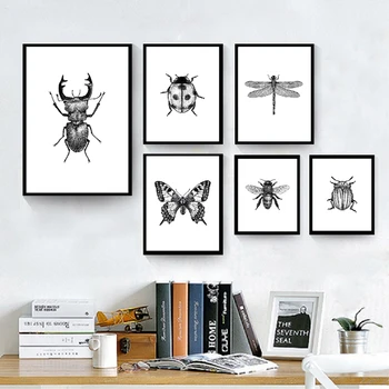 Vabzdžių Iliustracija Juodos Ir Baltos Sienos Meno Tapybos Drobės Ranka pieštas Klaidas vabzdžių Plakatai Ir Spausdina Sienos Nuotraukas Namų Dekoro