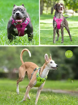Šuns Pakinktai Apykaklės liemenė Atspindinti Reguliuojamas Šuns, Augintinio Pėsčiomis Balnai Mažas Vidutinis Didelis Šunys Produktų Pitbull 5Color 2020 m.
