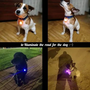 Šunų Antkaklis LED Žibintuvėlis Naktį Saugos Žėrintis Karoliai Pakabukas Katė Pet Šviesos Ryškios Šviesos Šuns Žaislas Šunų Aksesuarai NE BATERIJA