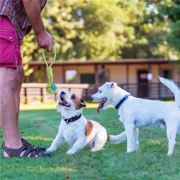 Šuo kramtomosios medvilnės virvė mokymo žaislas mazgas interaktyvus šuns žaislas lauko dantų valymas buldogų šunų pug žaislas